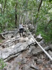 Nina going up trail.JPG (99 KB)